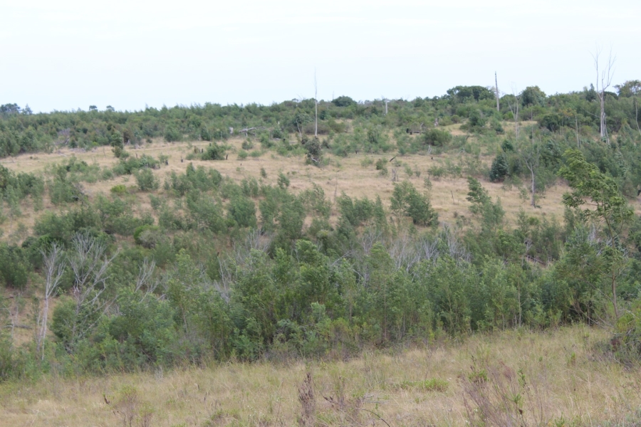 0 Bedroom Property for Sale in Bathurst Eastern Cape